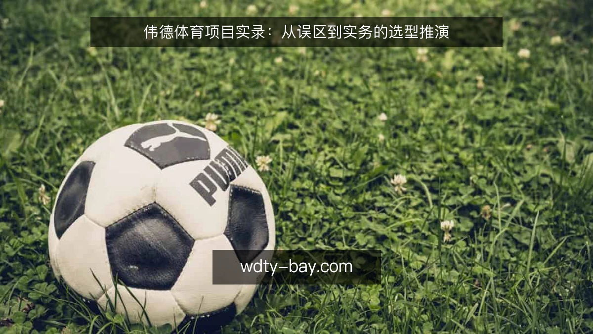 伟德体育项目实录:从误区到实务的选型推演