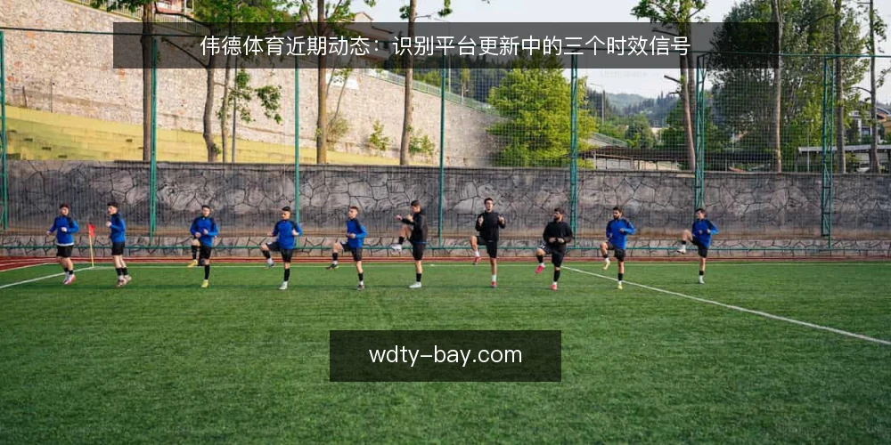 伟德体育近期动态:识别平台更新中的三个时效信号 — 核对近期更新公告 配图
