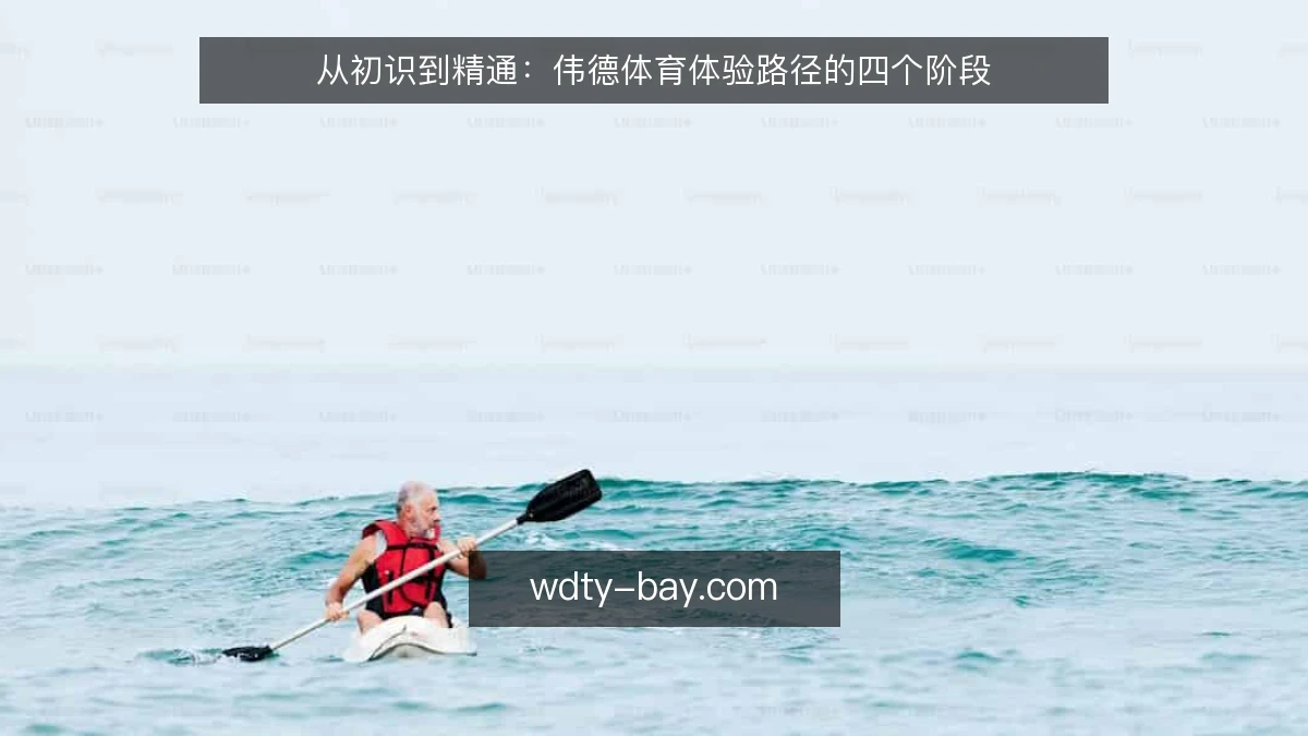 从初识到精通:伟德体育体验路径的四个阶段
