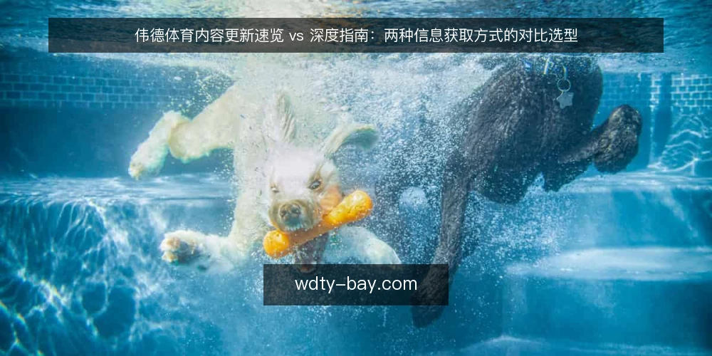 伟德体育内容更新速览 vs 深度指南:两种信息获取方式的对比选型 — 为什么现在需要重新审视内容获取方式 配图