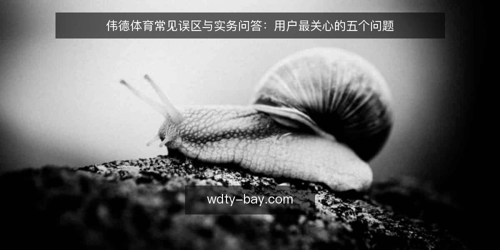伟德体育常见误区与实务问答:用户最关心的五个问题 — 引言:为什么这些误区反复出现 配图