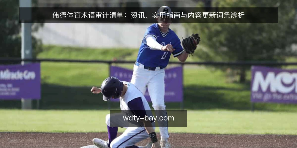 伟德体育术语审计清单:资讯、实用指南与内容更新词条辨析 — 为什么现在需要审计伟德体育术语 配图