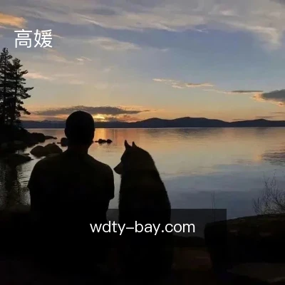 高媛